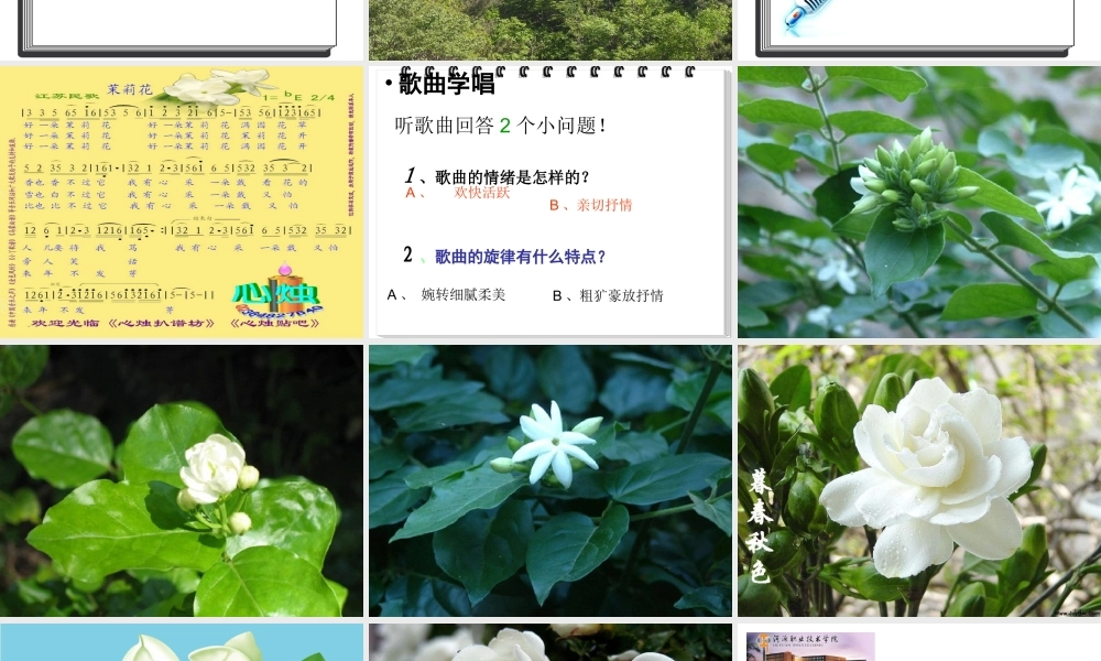 六纬路小学王树英茉莉花[1kejiancom]