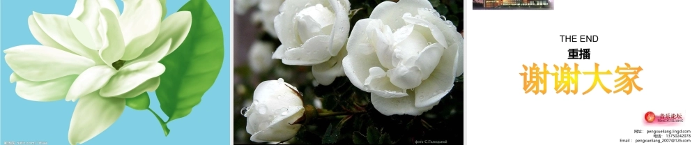 六纬路小学王树英茉莉花[1kejiancom]