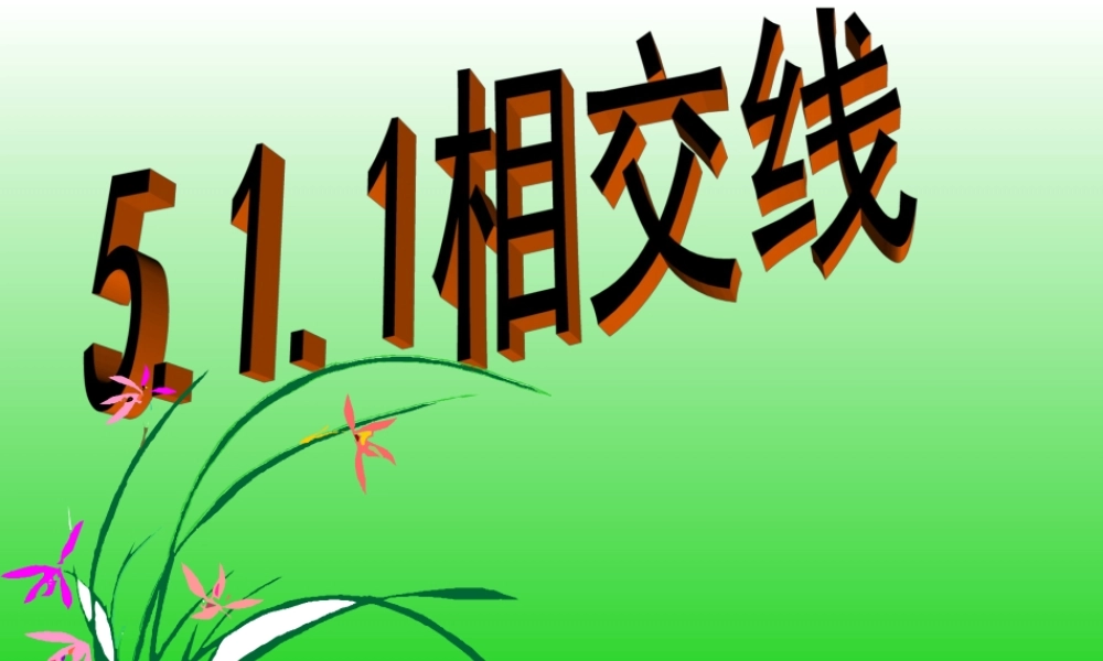 《511相交线》课件
