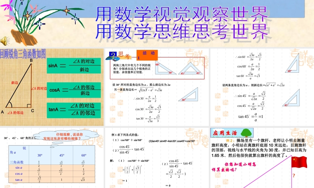 《锐角三角函数4》课件