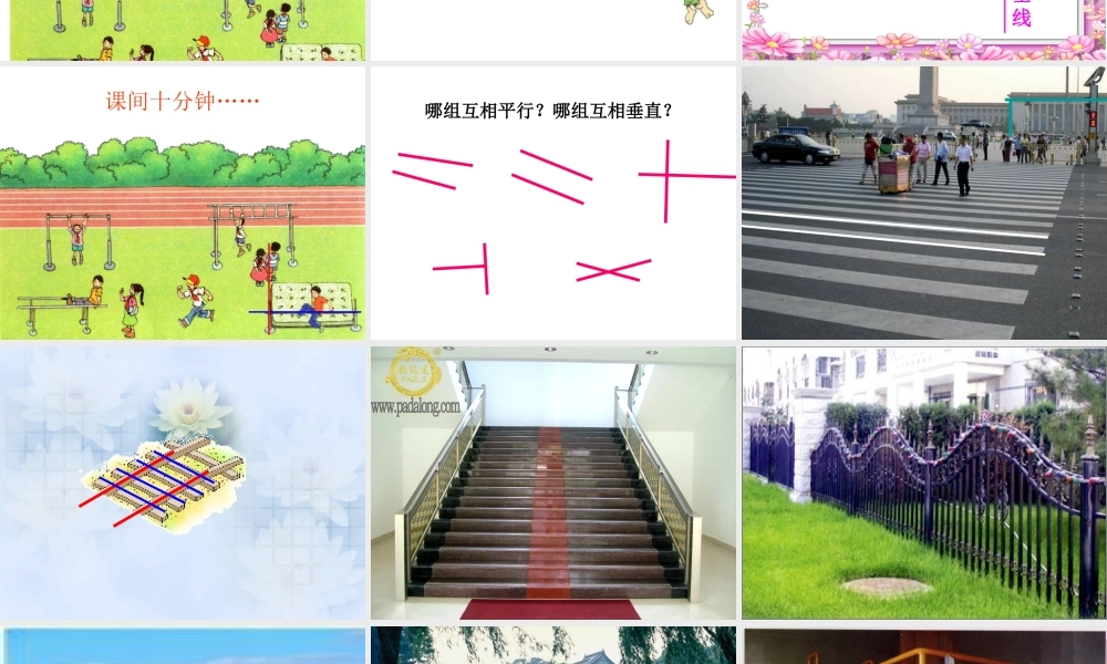 新课标人教版第七册数学垂直与平行