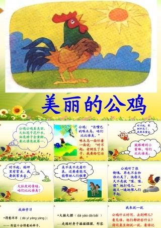 《美丽的公鸡》教学课件 (2)