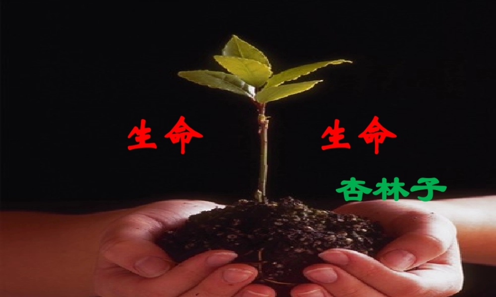 生命生命PPT课件