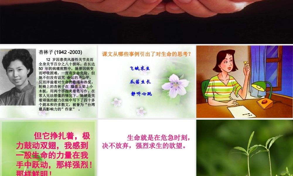 生命生命PPT课件