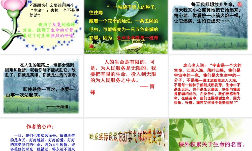 生命生命PPT课件