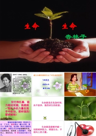 生命生命PPT课件