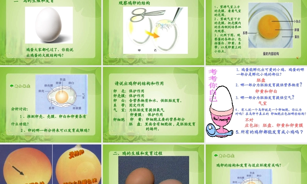 两栖类鸟类的生殖和发育