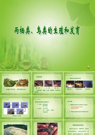 两栖类鸟类的生殖和发育