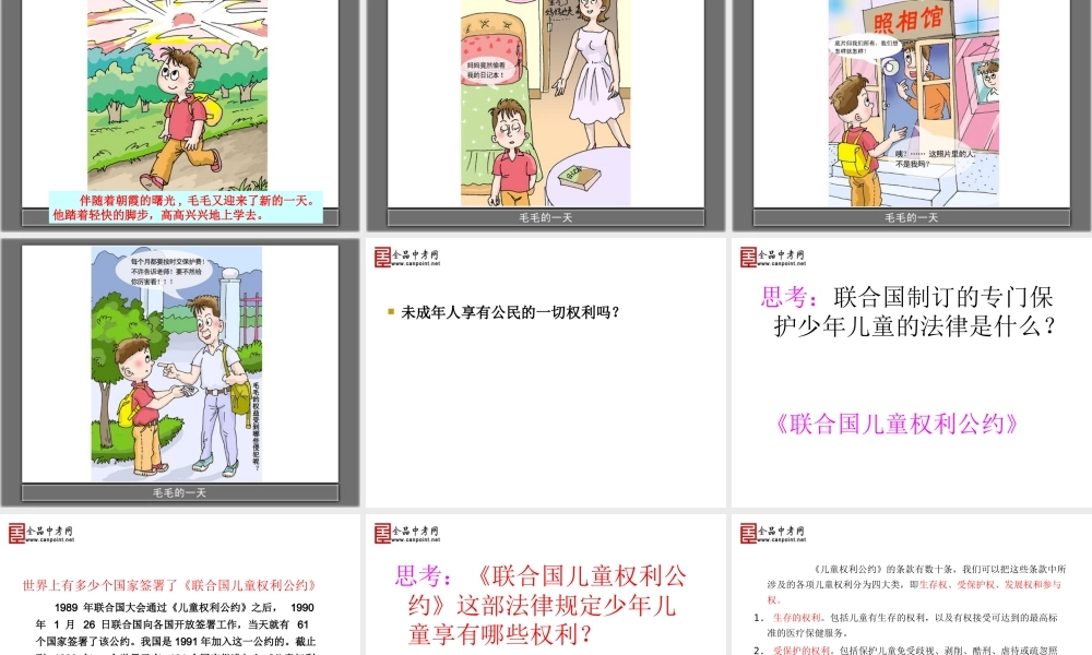 【精品课件二】第九课少年的权利