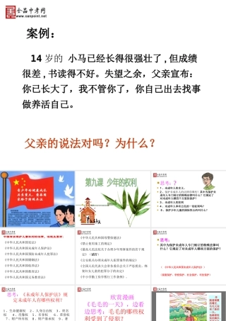 【精品课件二】第九课少年的权利