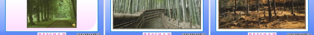 组歌浪之歌雨之歌