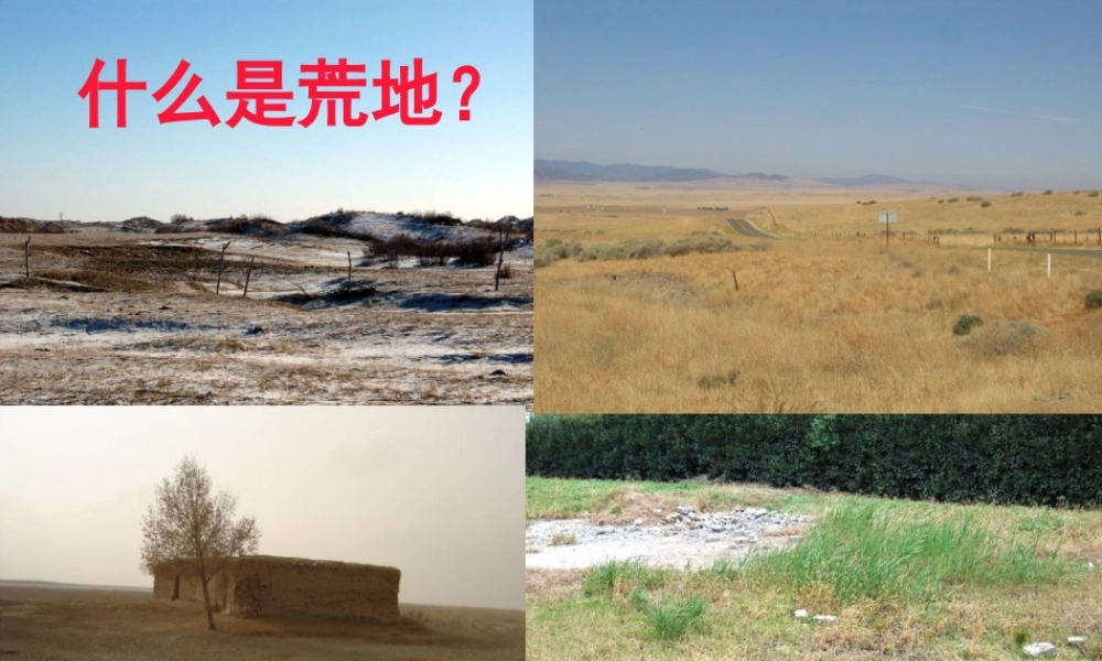 《荒地》教学课件 (2)