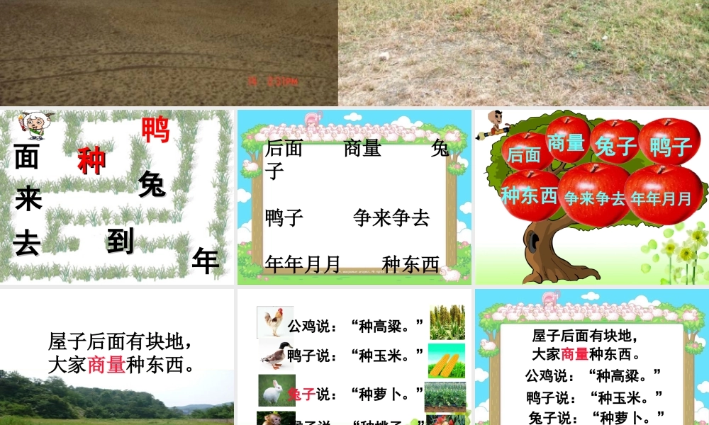 《荒地》教学课件 (2)
