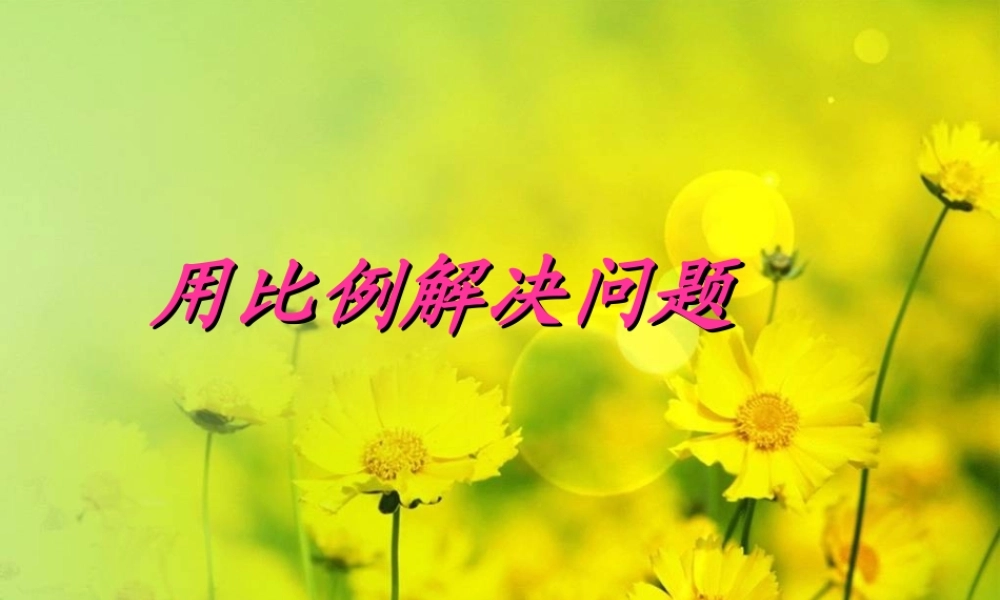 用比例解决问题新授