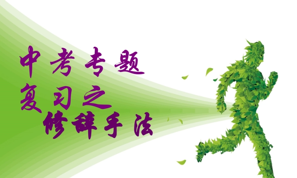 中考语文专题复习：修辞手法