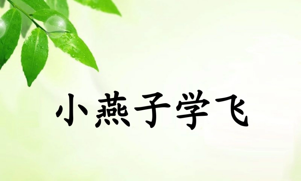 《小燕子学飞》教学课件