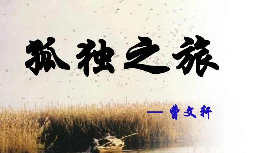 《孤独之旅》课件