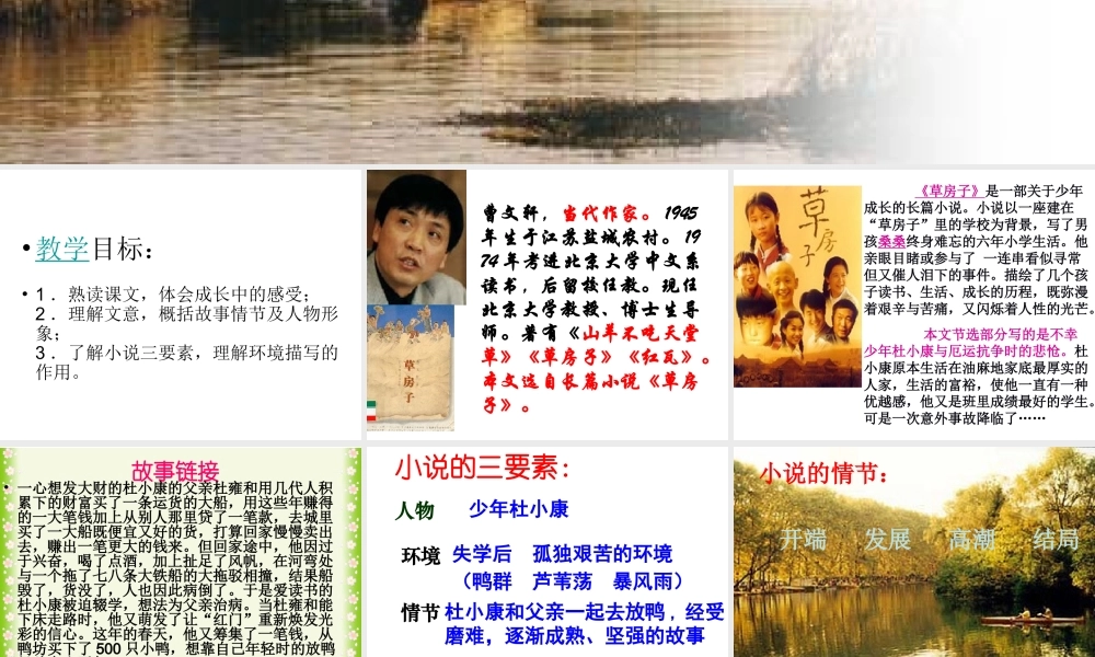 《孤独之旅》课件