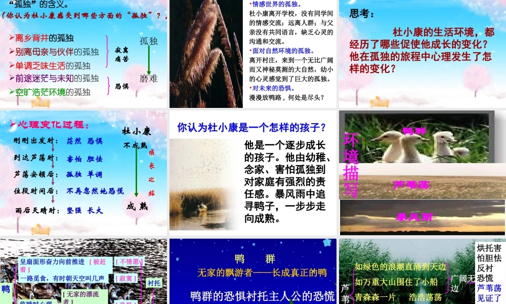 《孤独之旅》课件