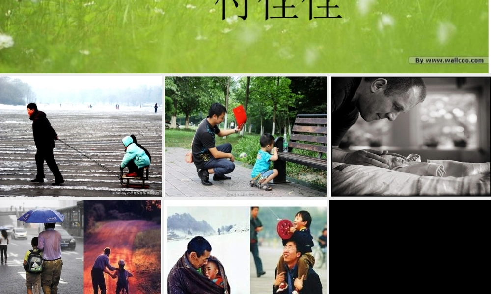 地震中的父与子PPT2