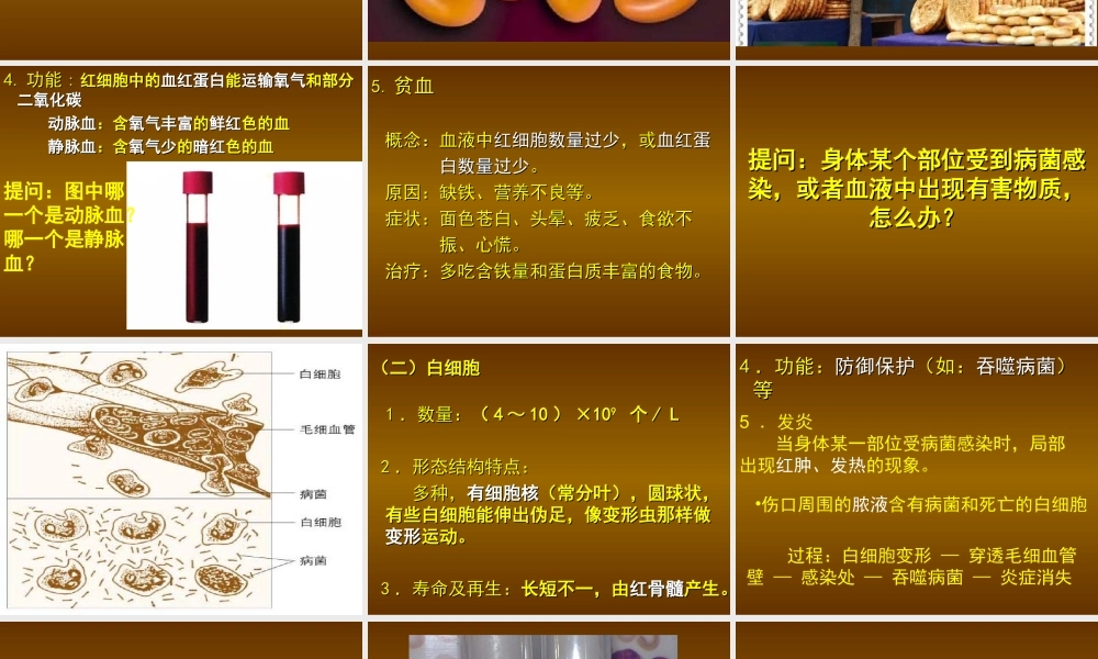 《血液》课件2
