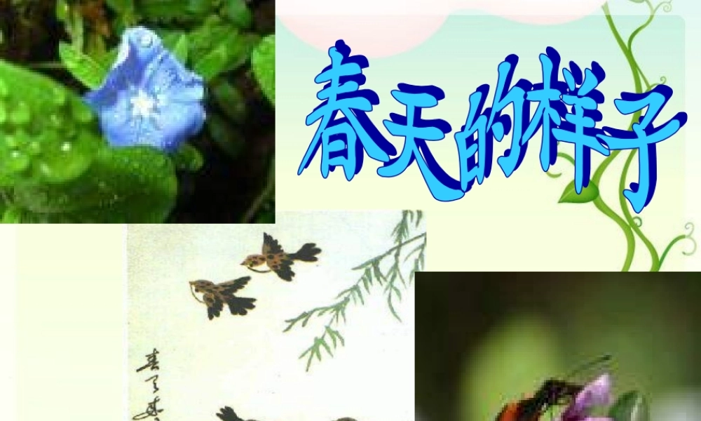 触摸春天_课件