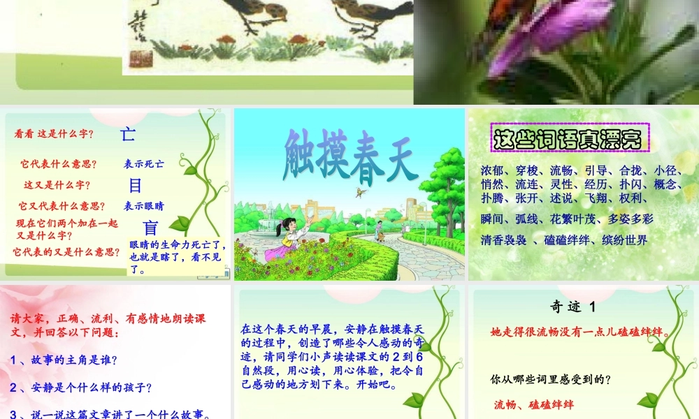 触摸春天_课件