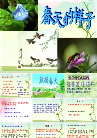触摸春天_课件
