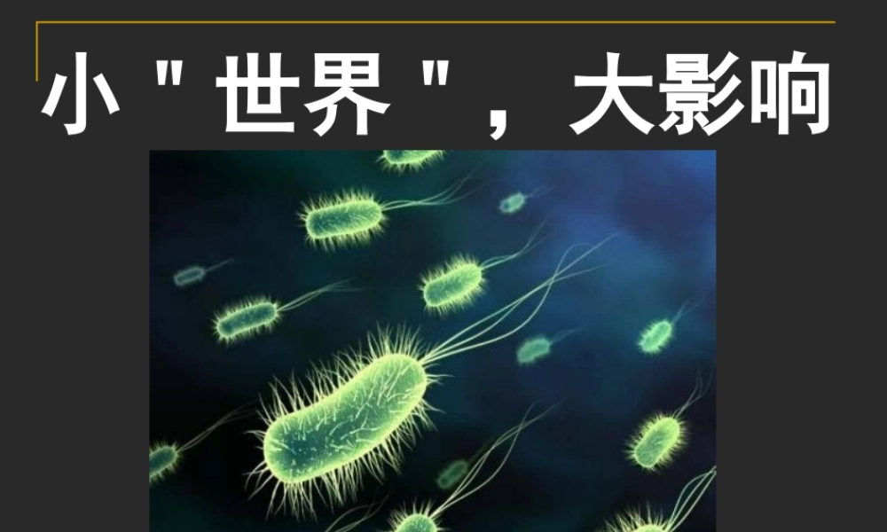 深圳市福田区景秀中学小世界大影响