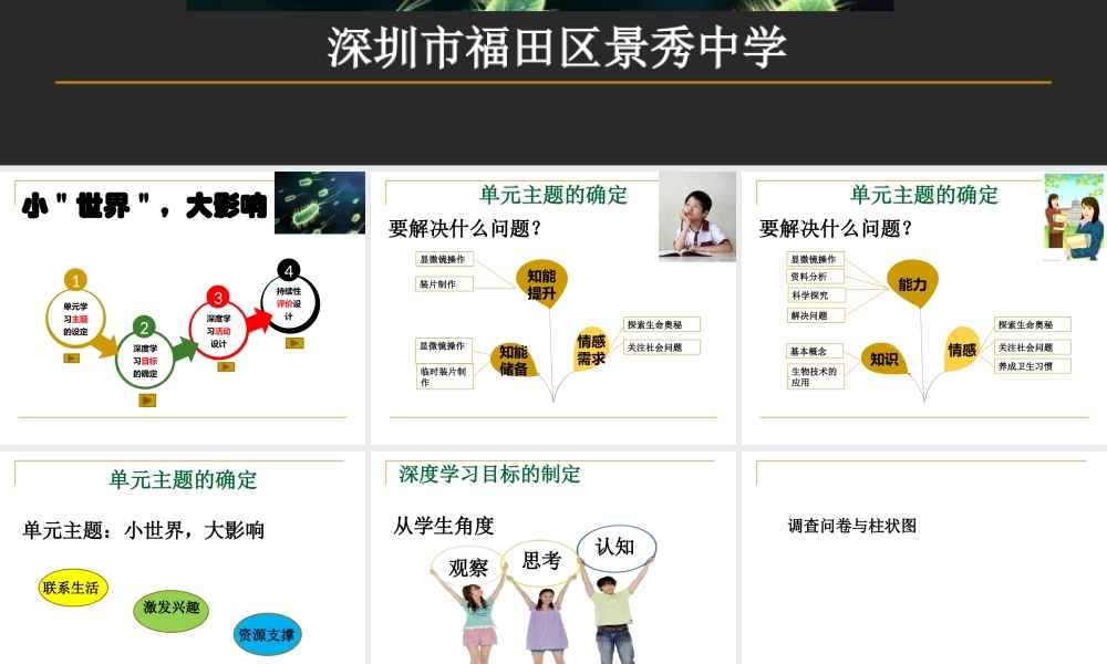 深圳市福田区景秀中学小世界大影响