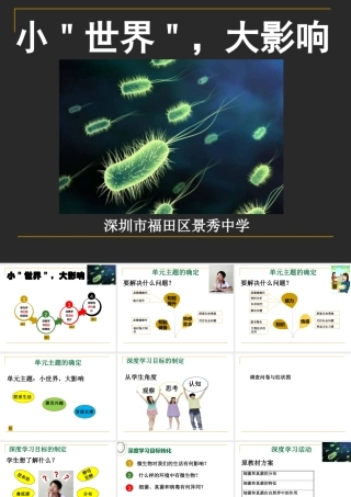 深圳市福田区景秀中学小世界大影响