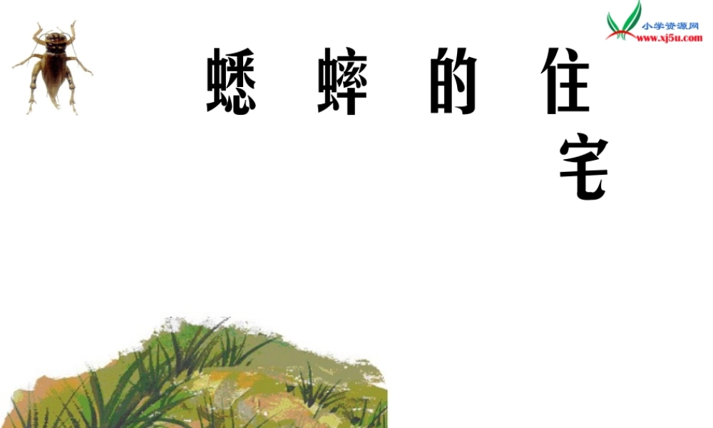 四年级上语文课件-蟋蟀的住宅