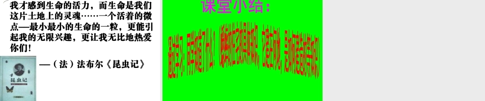 四年级上语文课件-蟋蟀的住宅