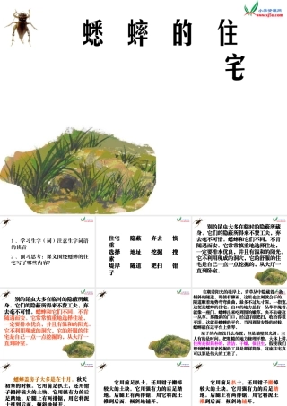 四年级上语文课件-蟋蟀的住宅