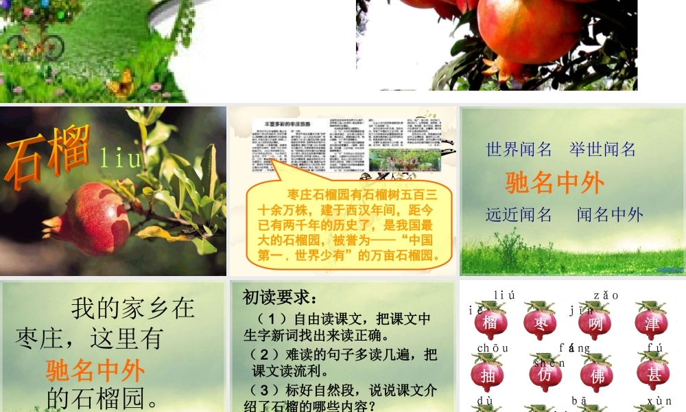 新石榴第一课时1(1)