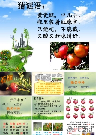 新石榴第一课时1(1)