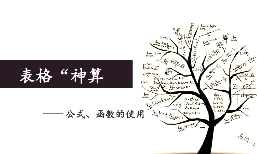 表格“神算子”公式函数的使用教案