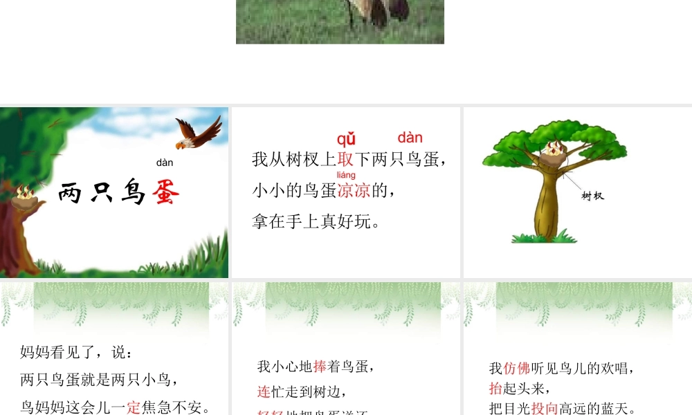 两只鸟蛋(小学一年级语文课件)