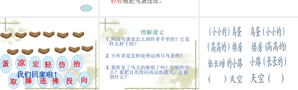 两只鸟蛋(小学一年级语文课件)