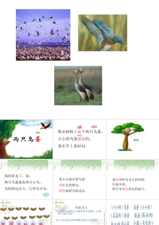 两只鸟蛋(小学一年级语文课件)