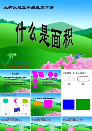 北师大版数学三年级下册《什么是面积》PPT课件