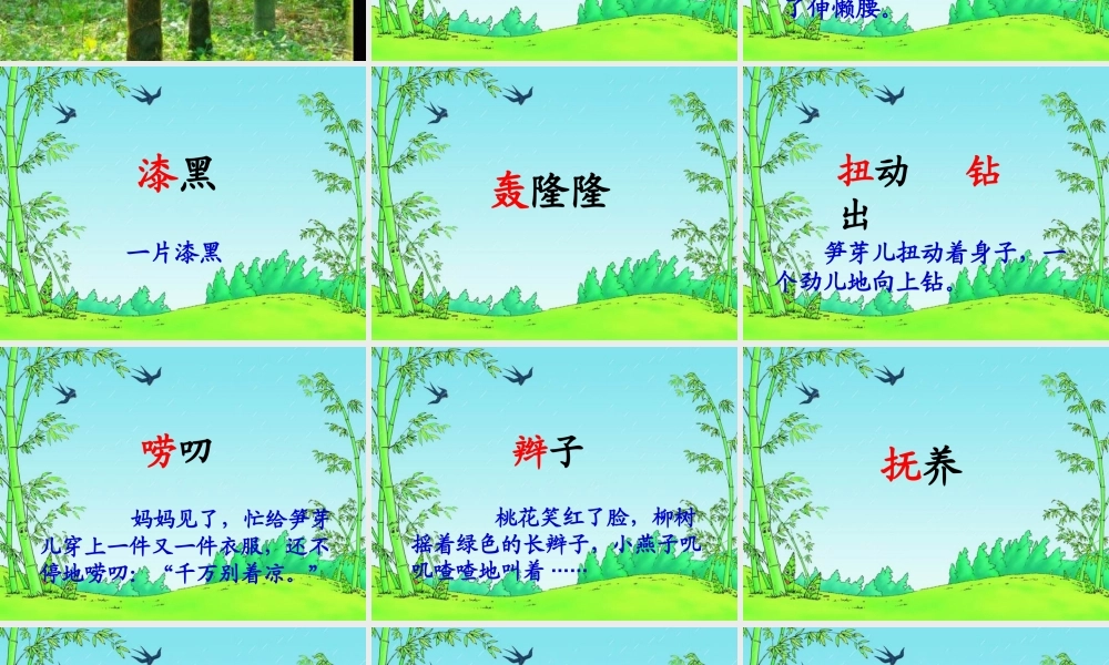 《笋芽儿》课件（二下语文）