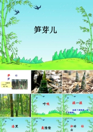 《笋芽儿》课件（二下语文）