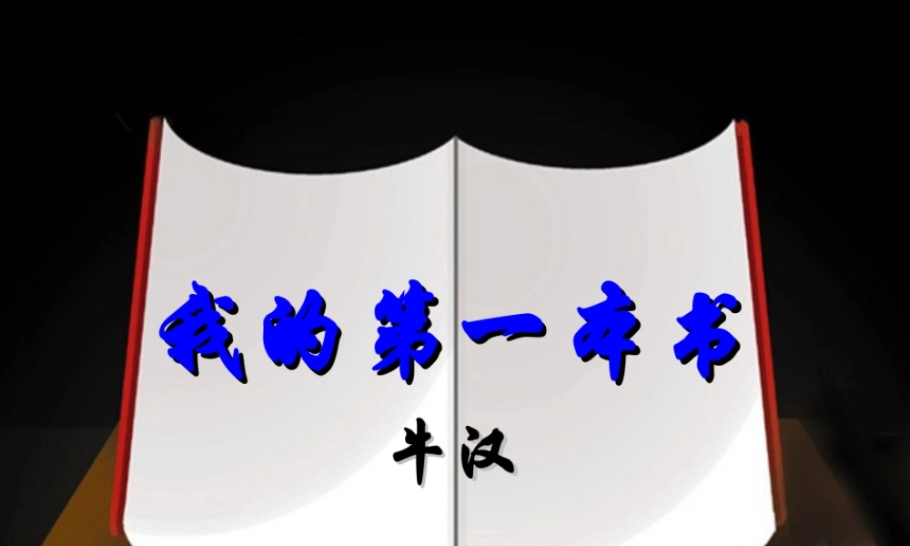 我的第一本书 (4)