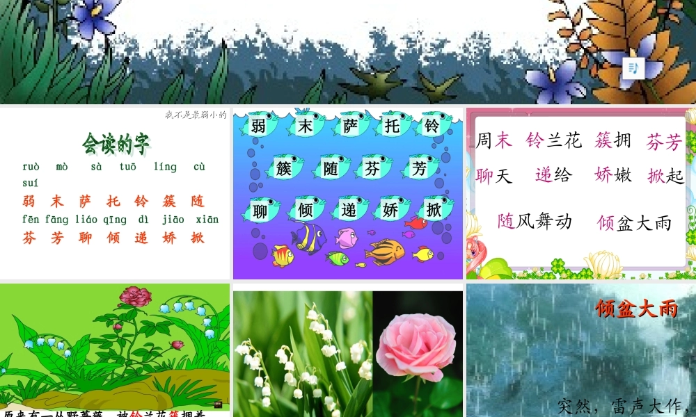 二年级语文下册第二组7我不是最弱小的第二课时课件