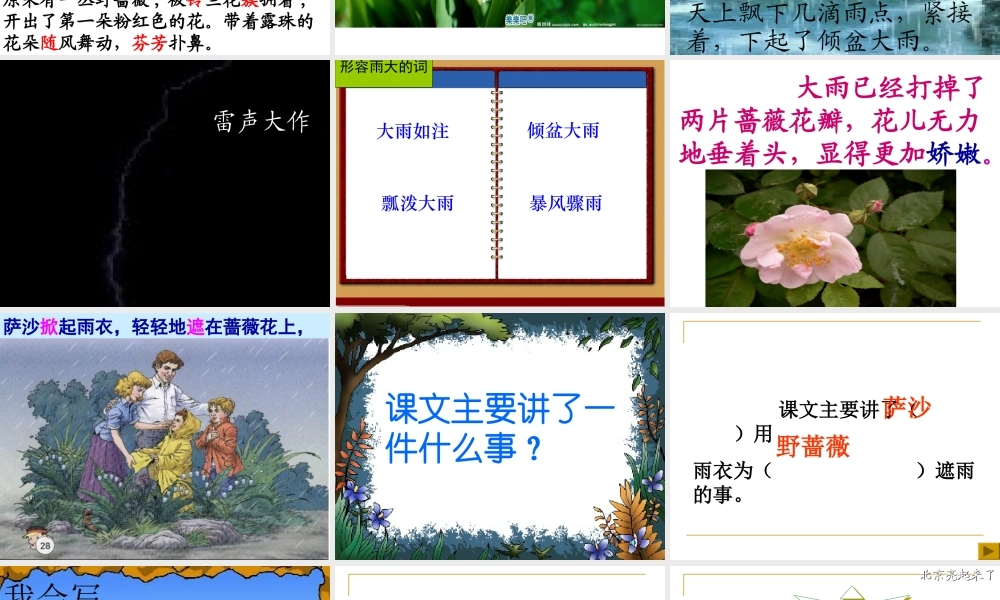 二年级语文下册第二组7我不是最弱小的第二课时课件