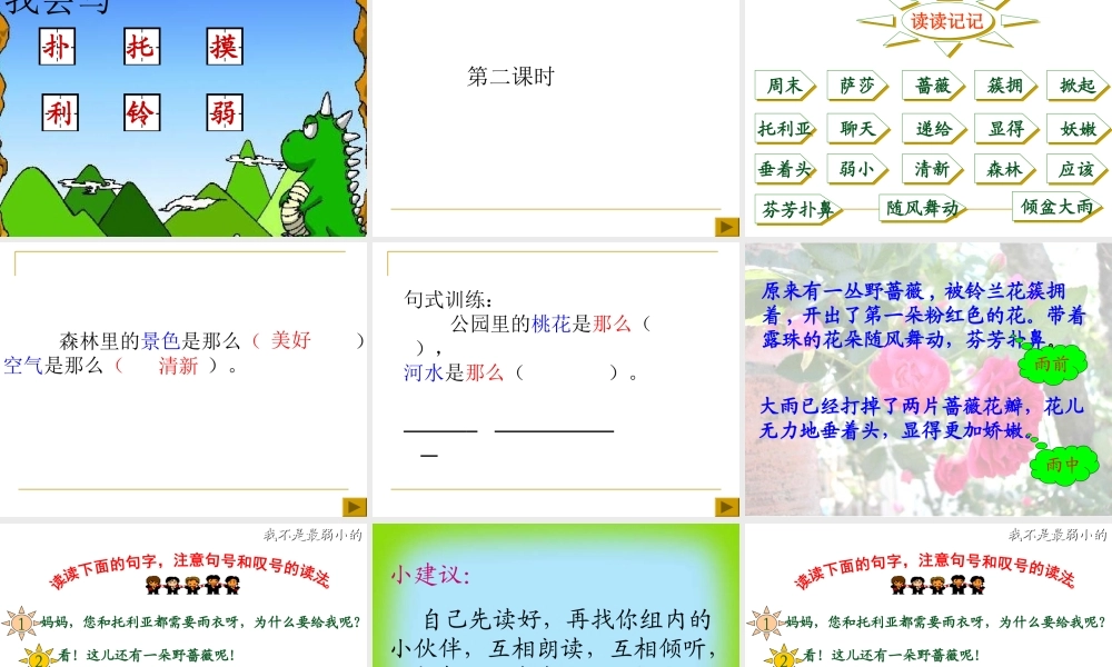 二年级语文下册第二组7我不是最弱小的第二课时课件