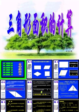 五年级上册《三角形面积计算》课件（3）叶东英