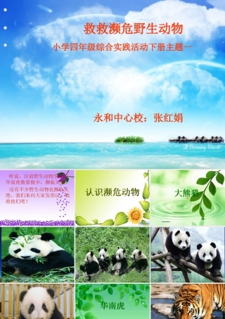 救救濒危野生动物