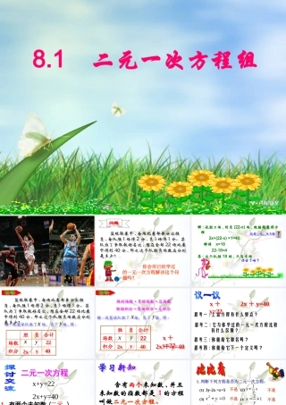 二元一次次方程组